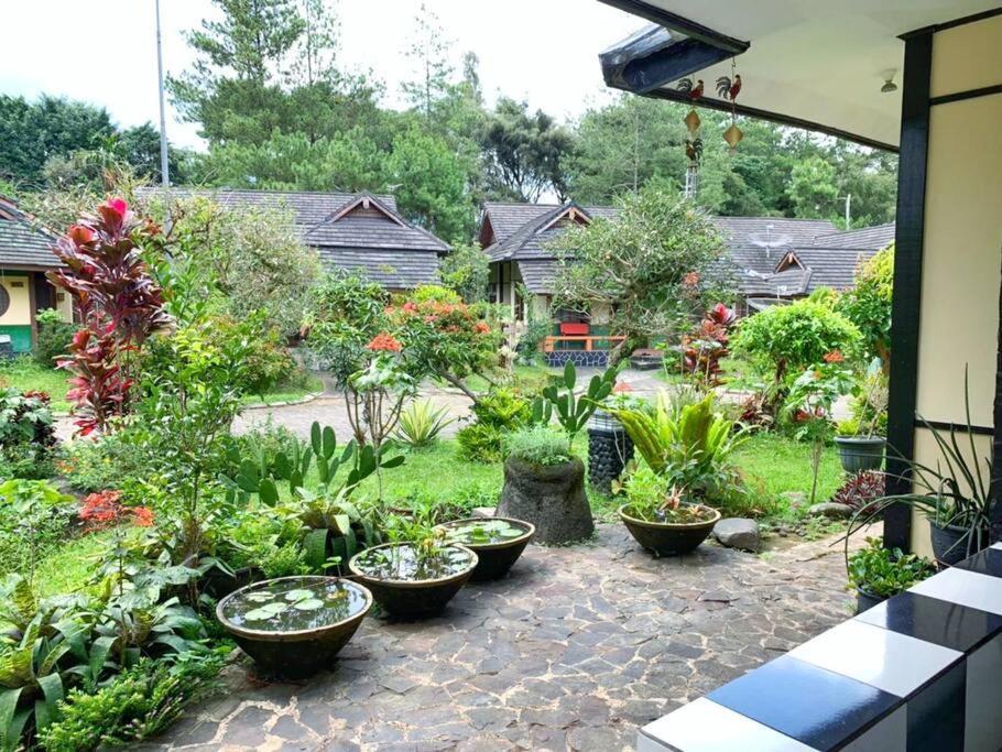 Designer Villa Osaka プンチャック エクステリア 写真