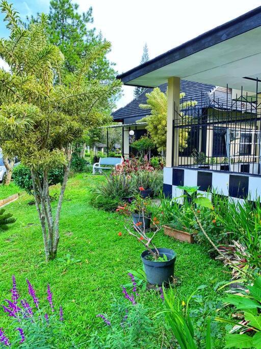 Designer Villa Osaka プンチャック エクステリア 写真